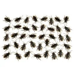 ROACHES 40PCS IN A BAG