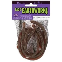 WORMS IN A BAG