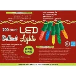HOLIDAY LIGHTS 200L C3 MU