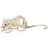 MOUSE CRAWLING SKELETON