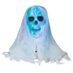 LIGHTSHOW SKULL BUST WHITE FAC